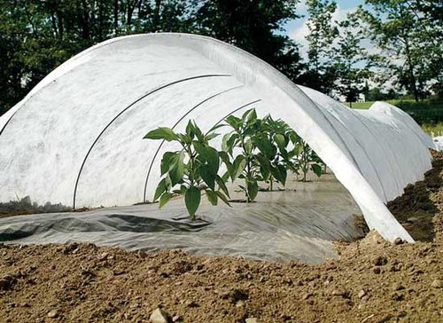 agricultural greenhouse cover