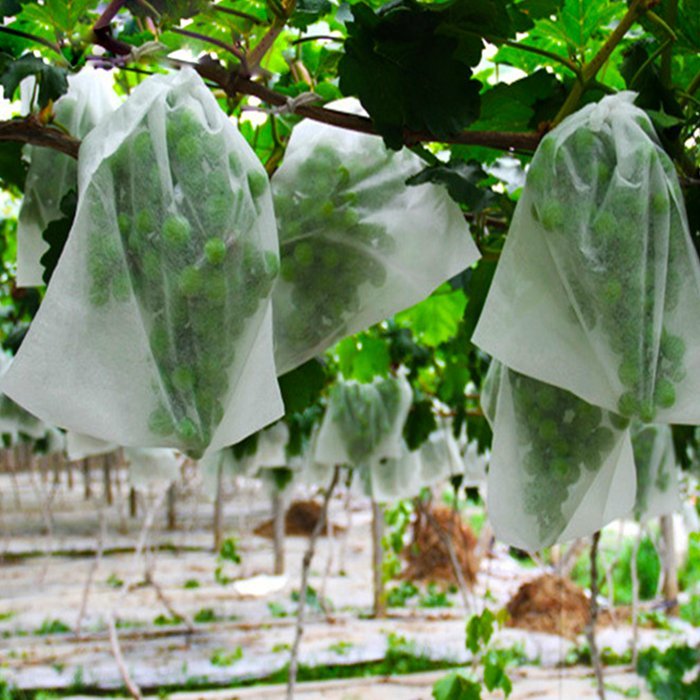 plant protection fabric