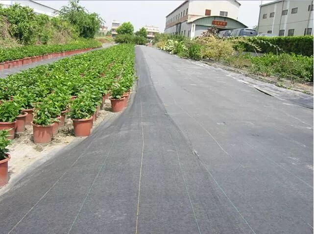 road surface protection